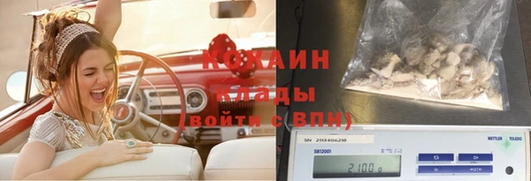 молекула духа Аркадак